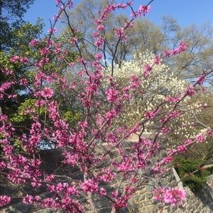 Meet your Posher, Ian